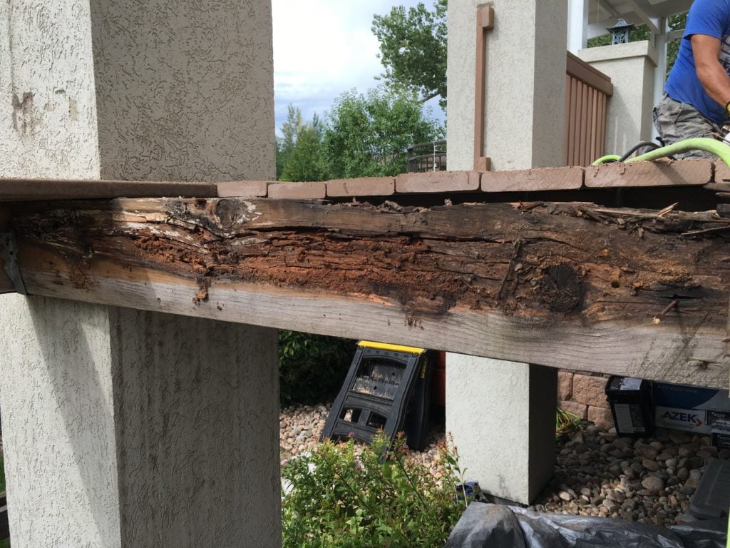 Rot Wood Replacement and Repair