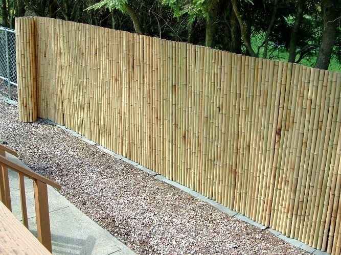 Bamboo Fencing