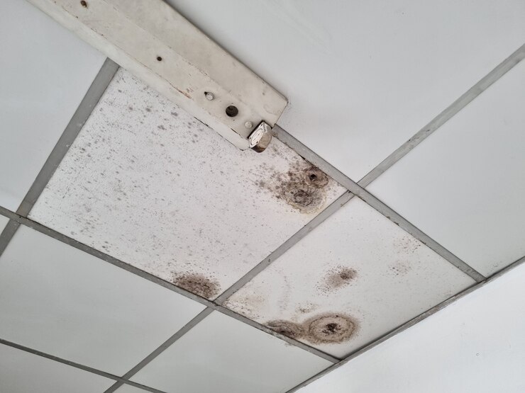Ceiling Repair Water Damage Cost - Jimthehandyman