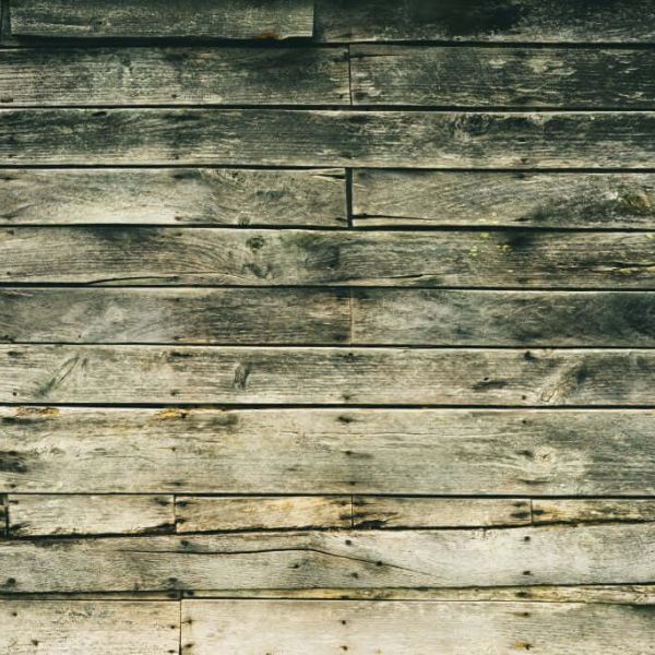 Dry Rot Wood Repair